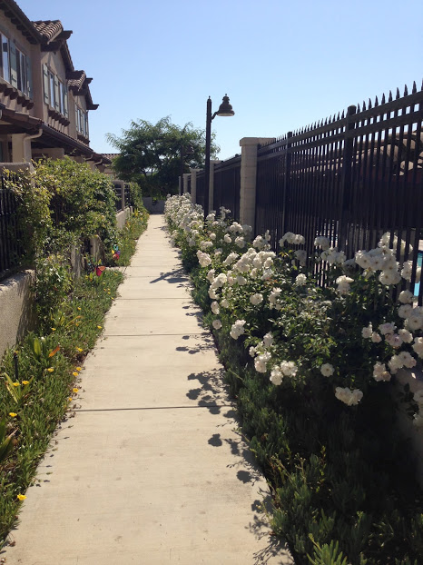 Preferred Care at Home of Thousand Oaks photo 7