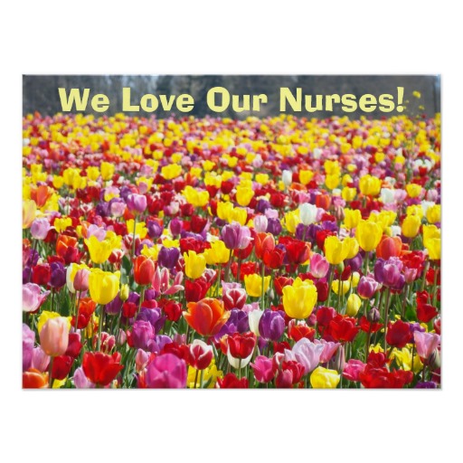 TLC Nursing Service photo 1