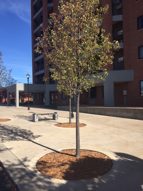 River Village Apartments photo 2