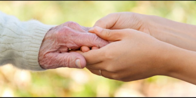 Lighthearted Senior Care photo 4