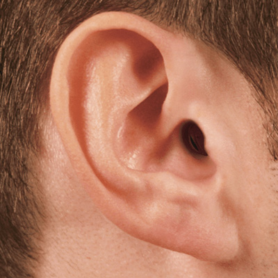 Sophisticated Hearing photo 9