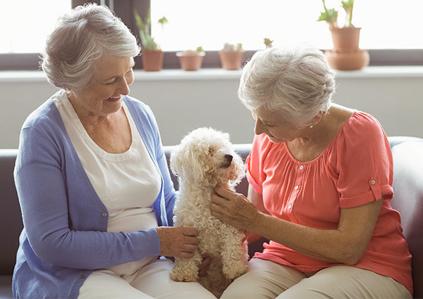 Seniors Helping Seniors Lehigh Valley photo 3