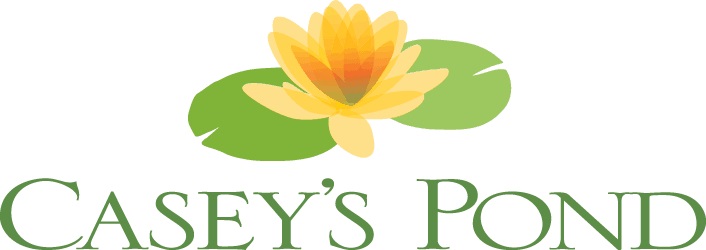 Casey's Pond