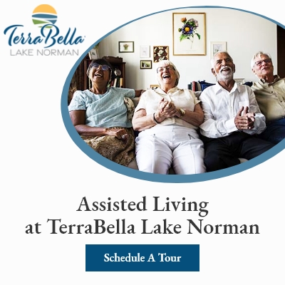 TerraBella Lake Norman photo 2