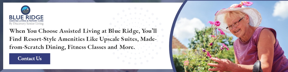 Blue Ridge Assisted Living and Memory Care photo 4
