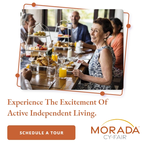 Morada Cy-Fair photo 4