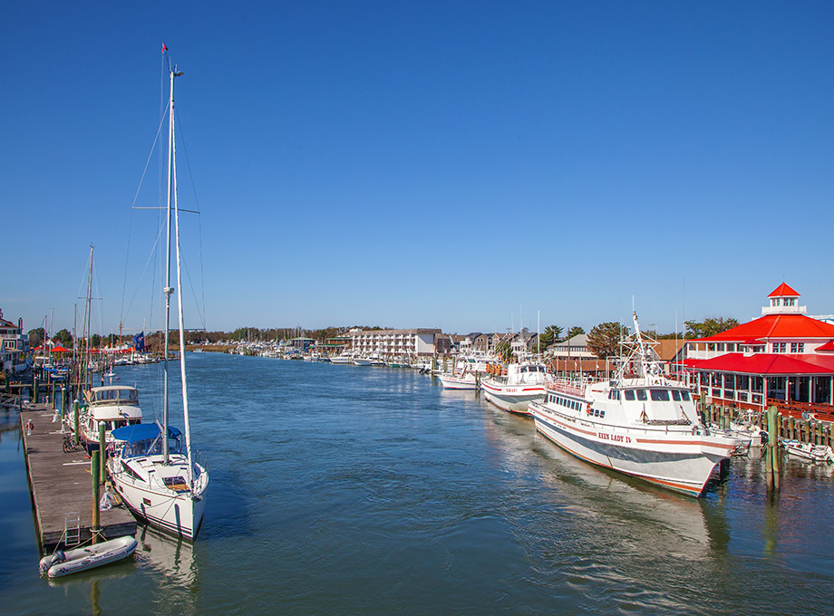 The Moorings at Lewes photo 4