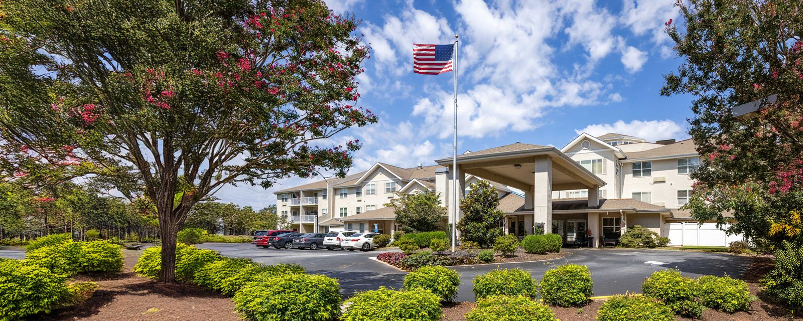 TerraBella Greenville photo 4