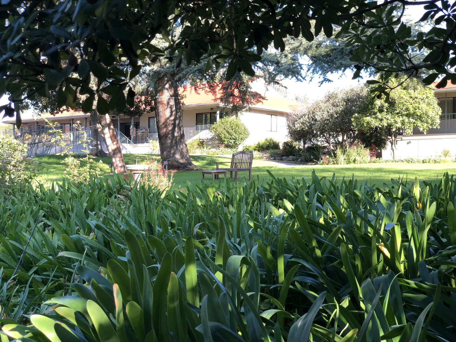 The British Home in California Ltd photo 3