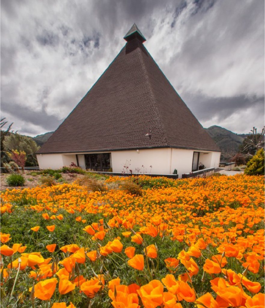 Carmel Valley Manor photo 2