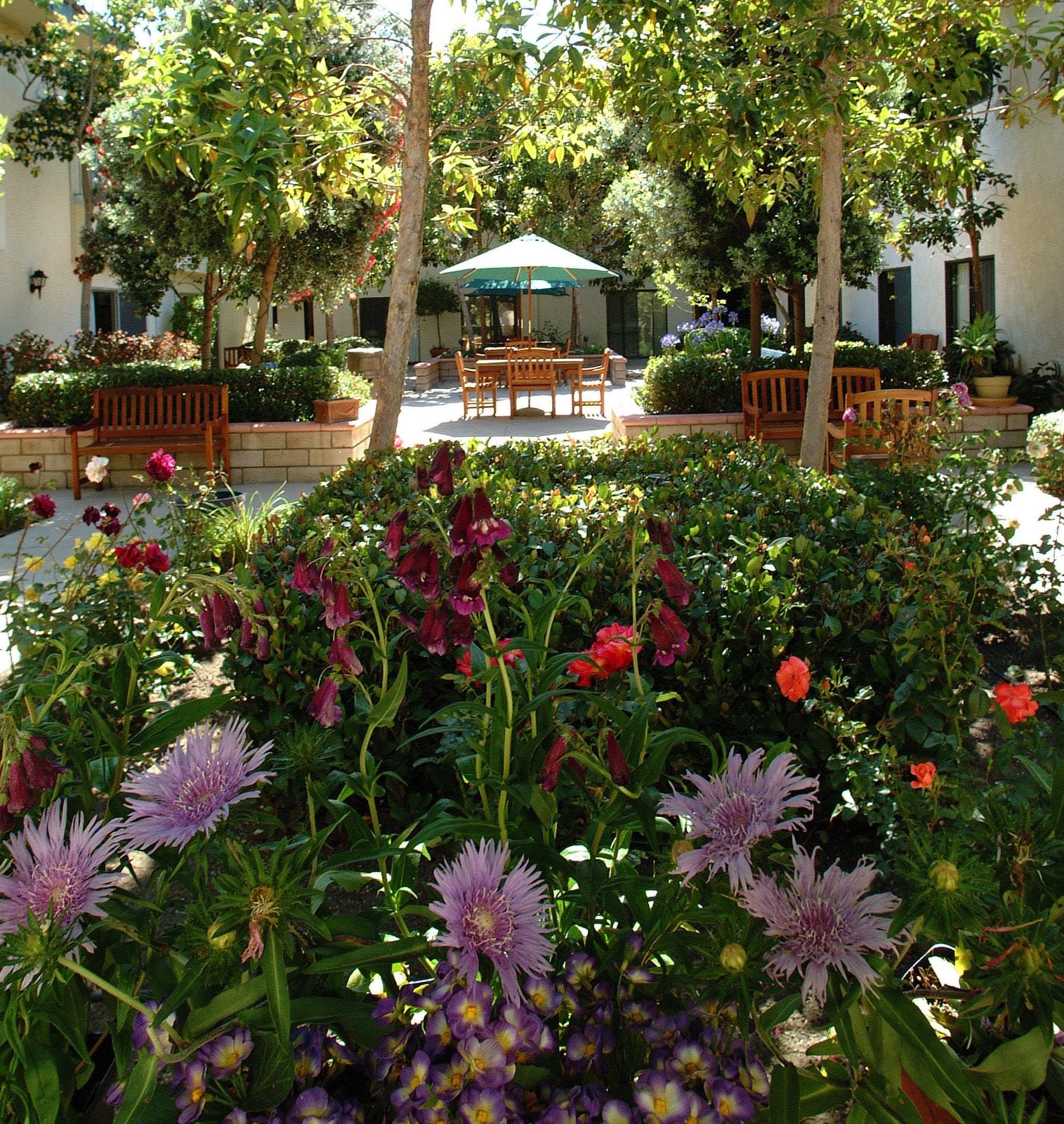 Casa de Flores photo 2
