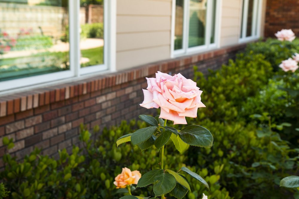 Meadowbrook Village Christian Retirement Community photo 5