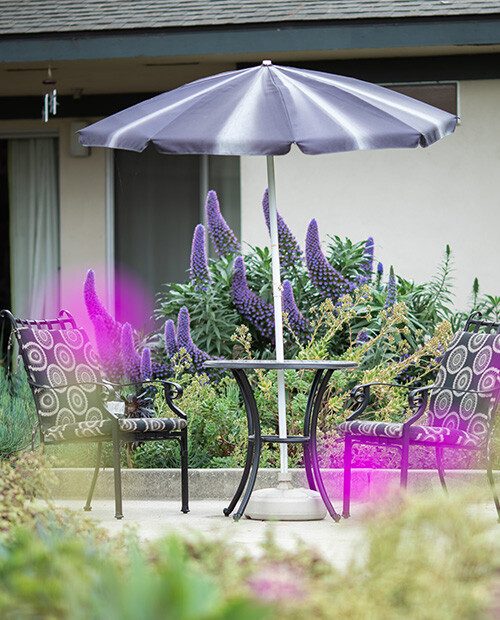 Redwood Terrace photo 3