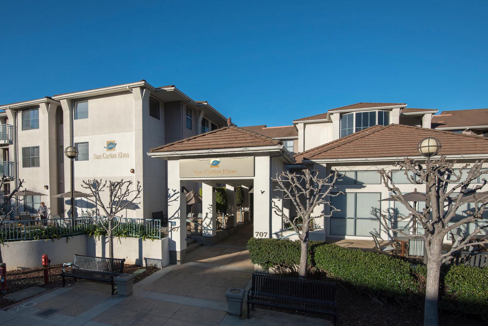 San Carlos Elms photo 1