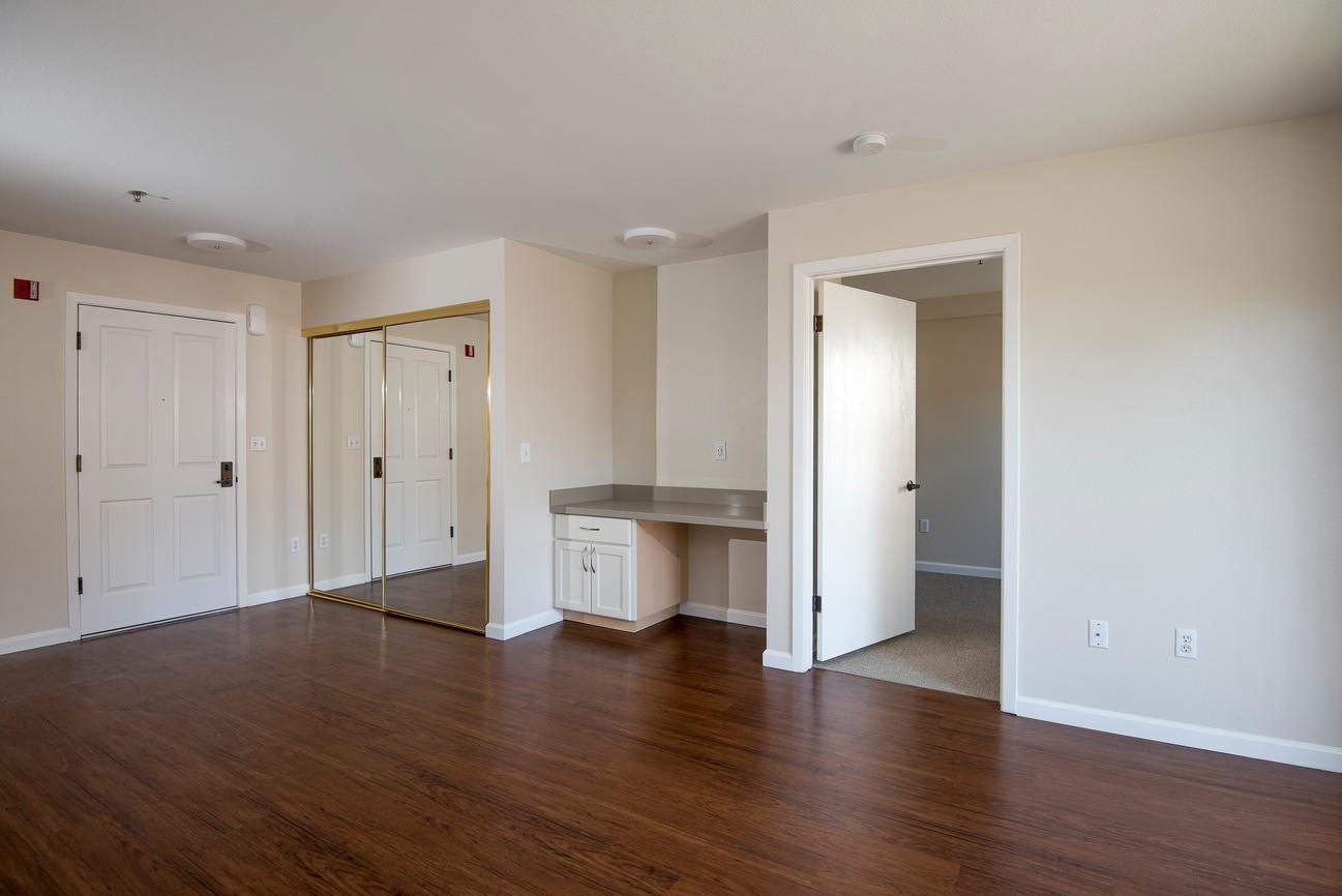 San Carlos Elms photo 3