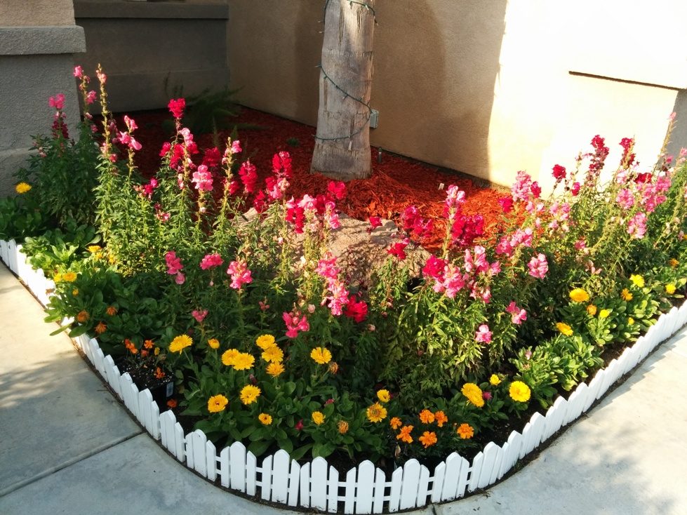A & a Bakersfield Care Home photo 2