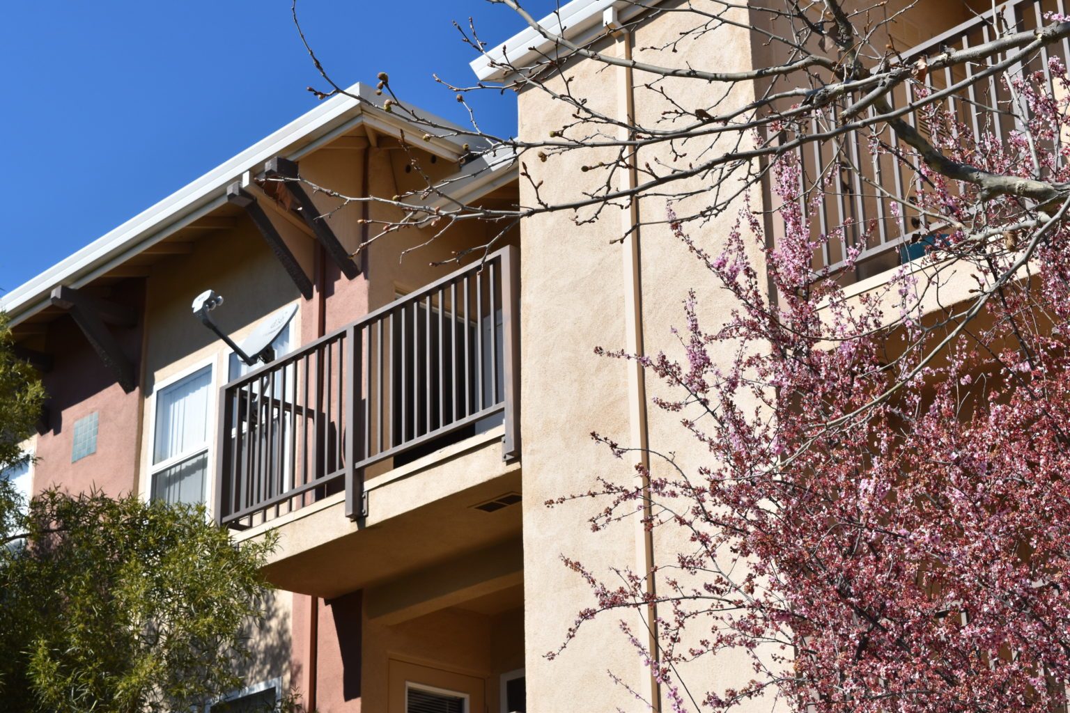 Acc Assisted Living at Greenhaven Terrace photo 3