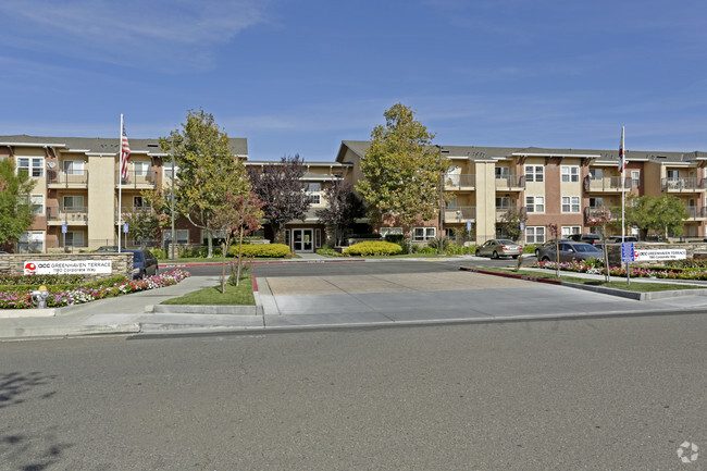 Acc Maple Tree Village photo 5