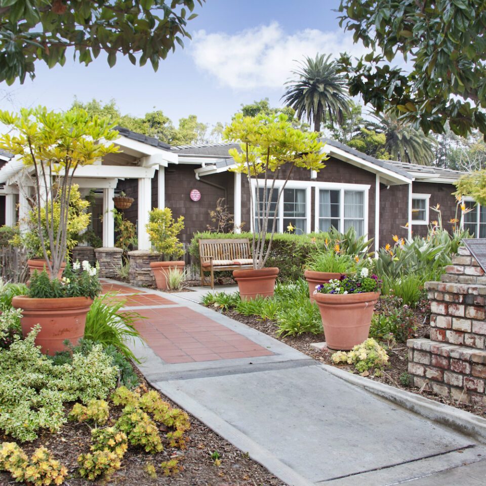Ivy Park at Huntington Beach photo 3
