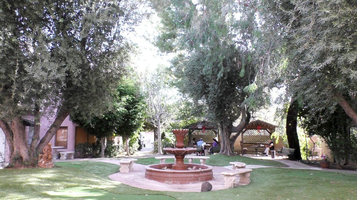 Ambassador Garden photo 1
