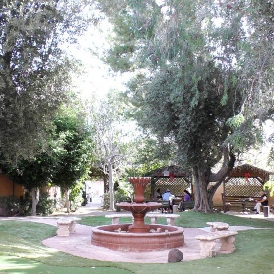Ambassador Garden photo 3
