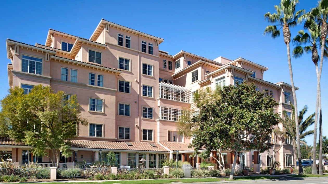 Ivy Park at Playa Vista photo 4