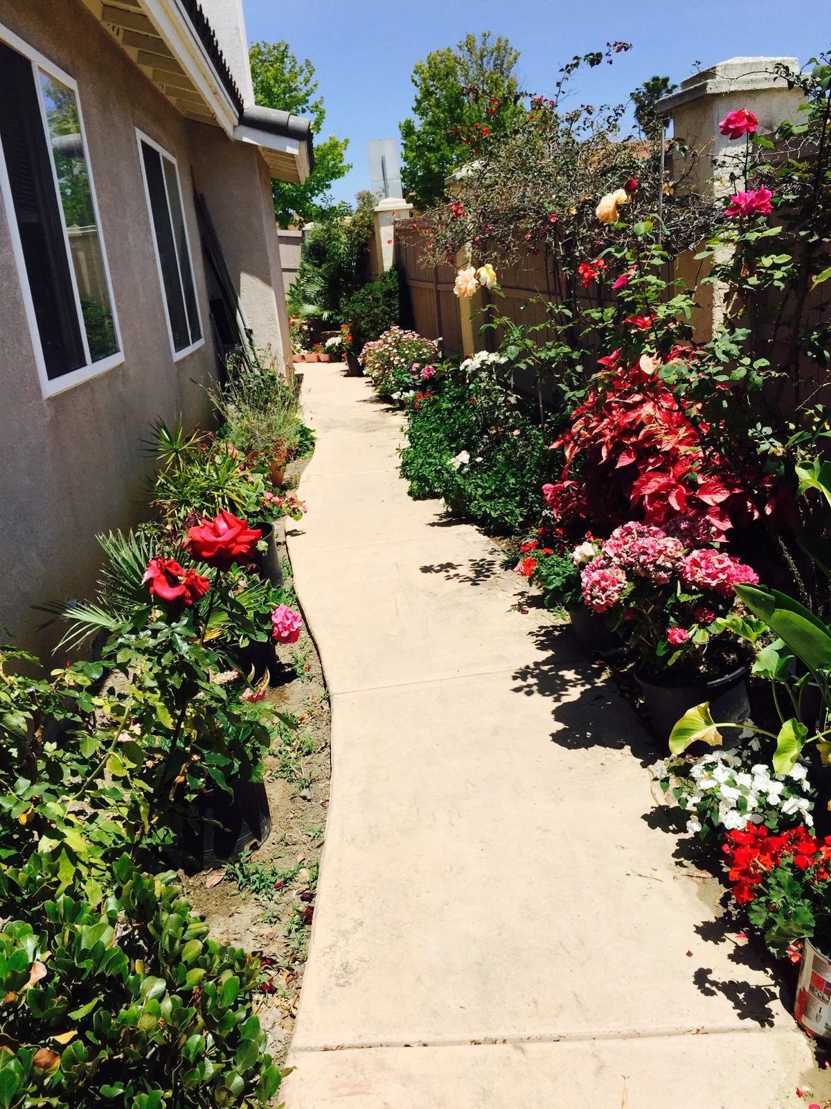 Aury's Home Care photo 2