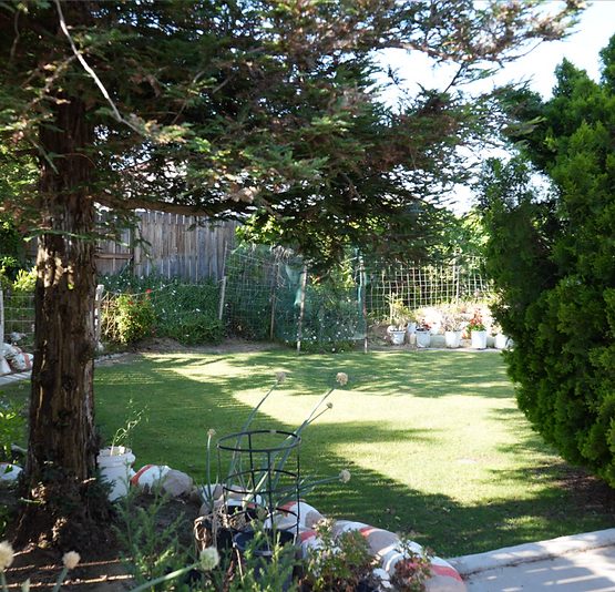Bethany Joy Garden photo 2