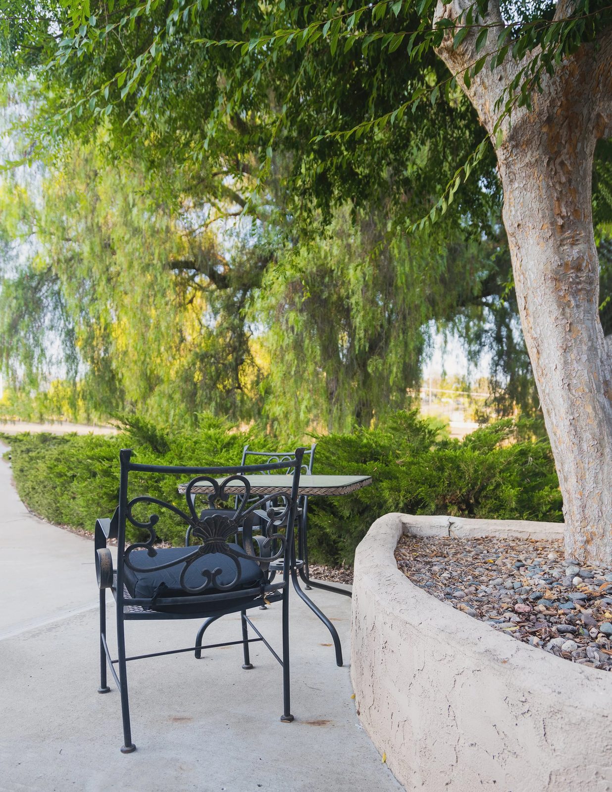 Blossom Valley Residential Care photo 4