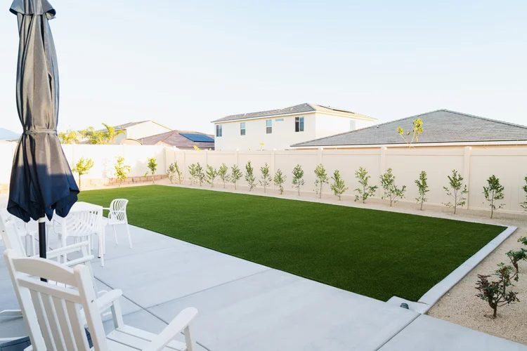 Brite Living photo 5