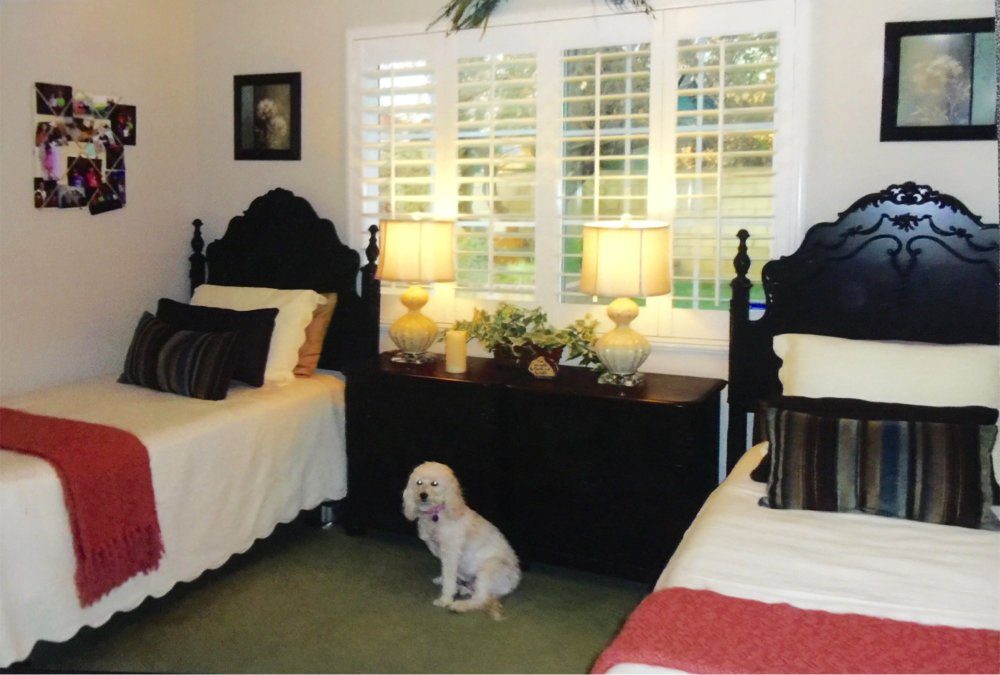 Chloie's Cottage II photo 3