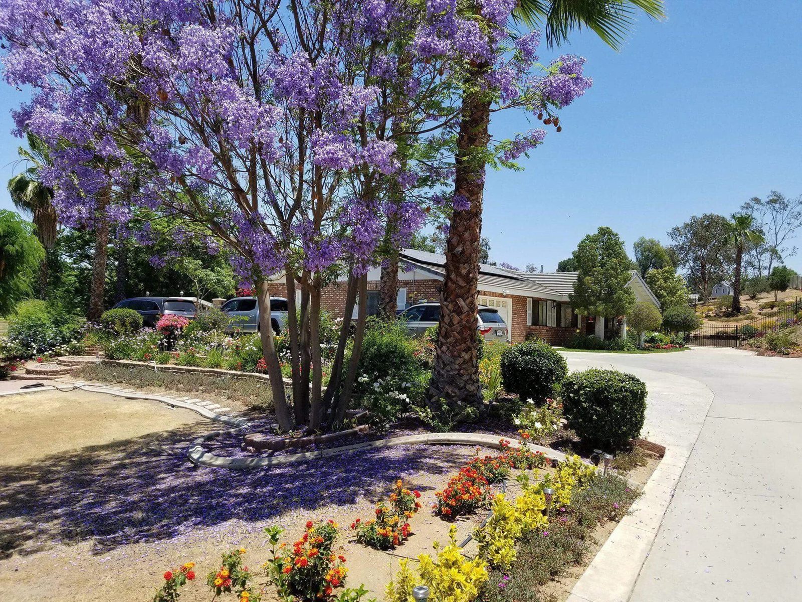 Citiview Residential Care photo 1