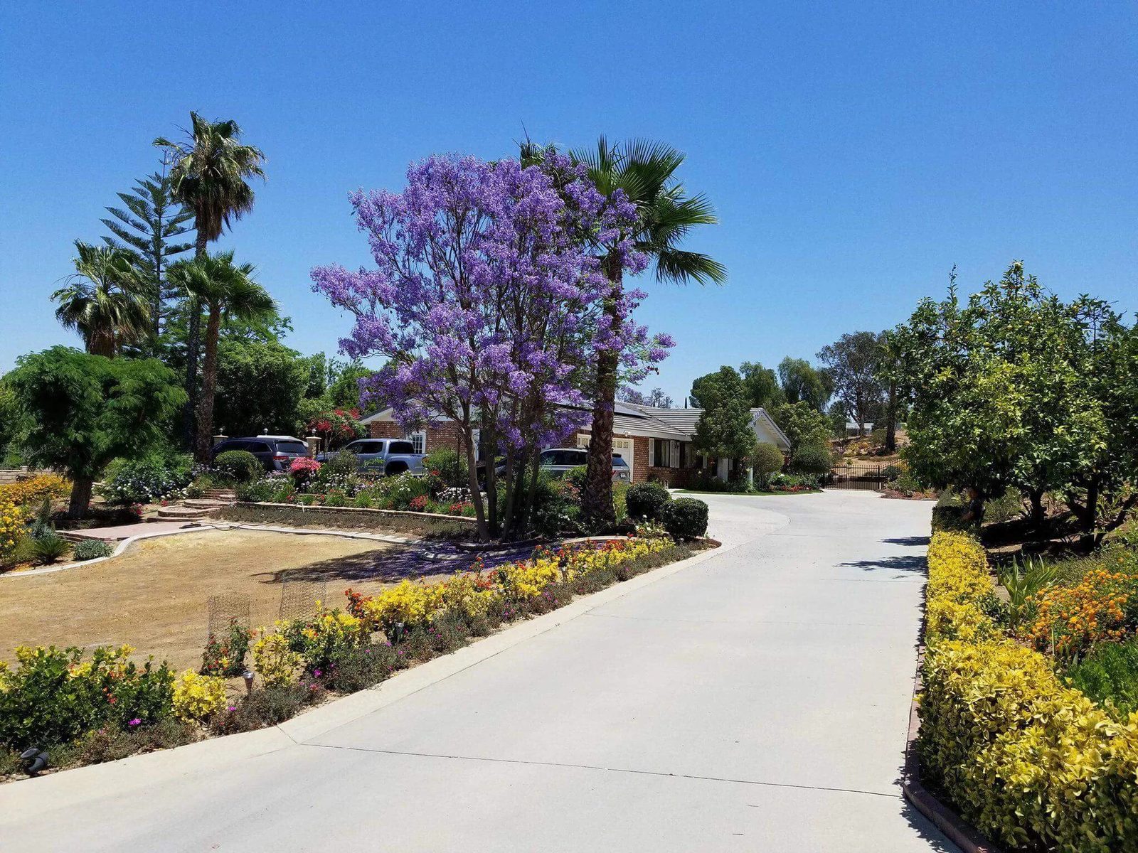 Citiview Residential Care photo 2