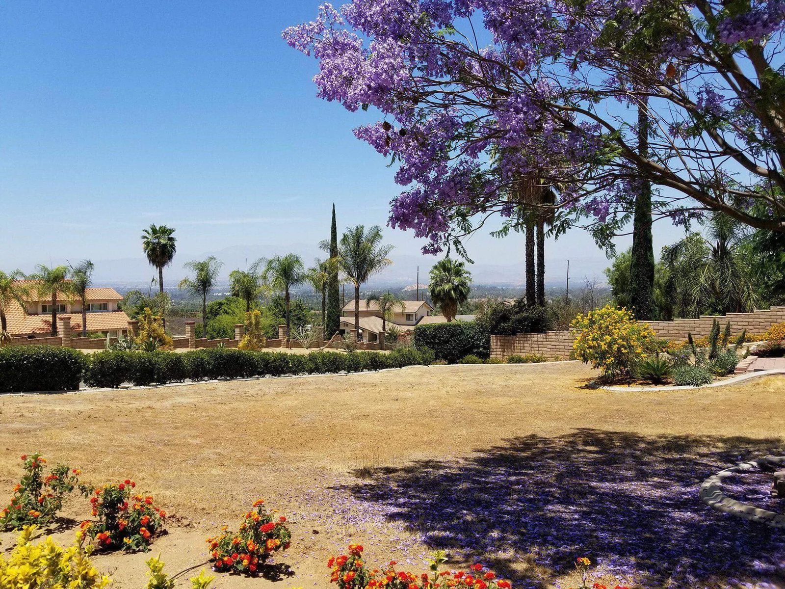 Citiview Residential Care photo 3