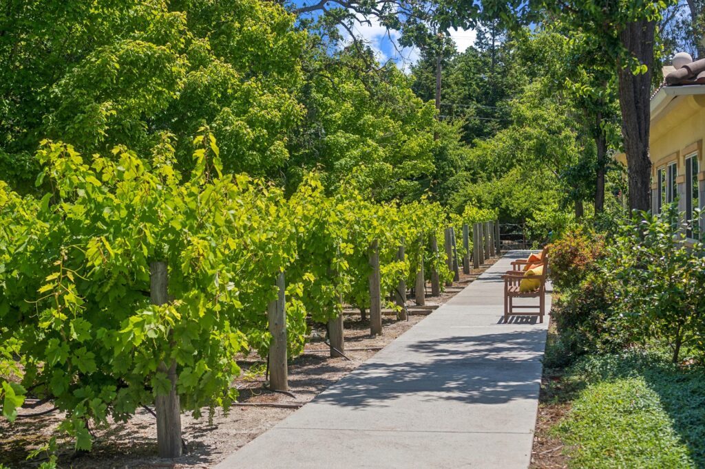 Cogir of Sonoma Plaza photo 1