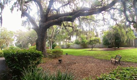 Brookdale Sarasota Midtown photo 3