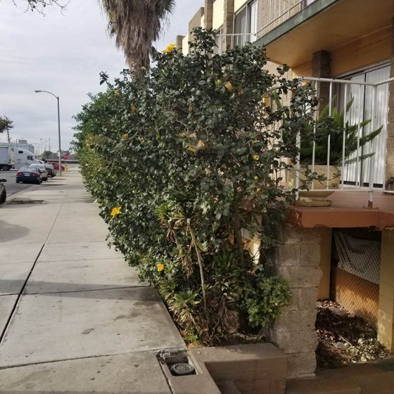 Country Inn of Downey photo 3