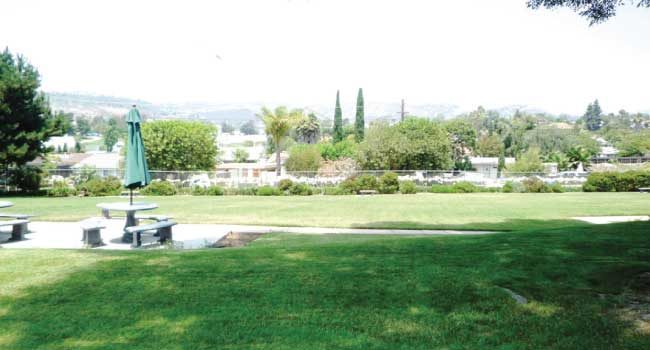Country Rose Estate Memory Care photo 3