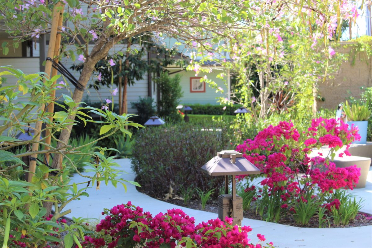 Cristo Rey Cottage Assisted Living