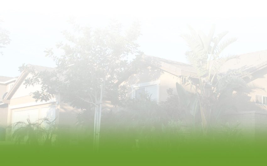Eastvale Meadows