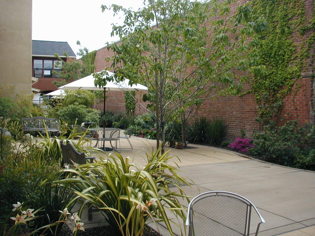 Elders Inn on Webster photo 3