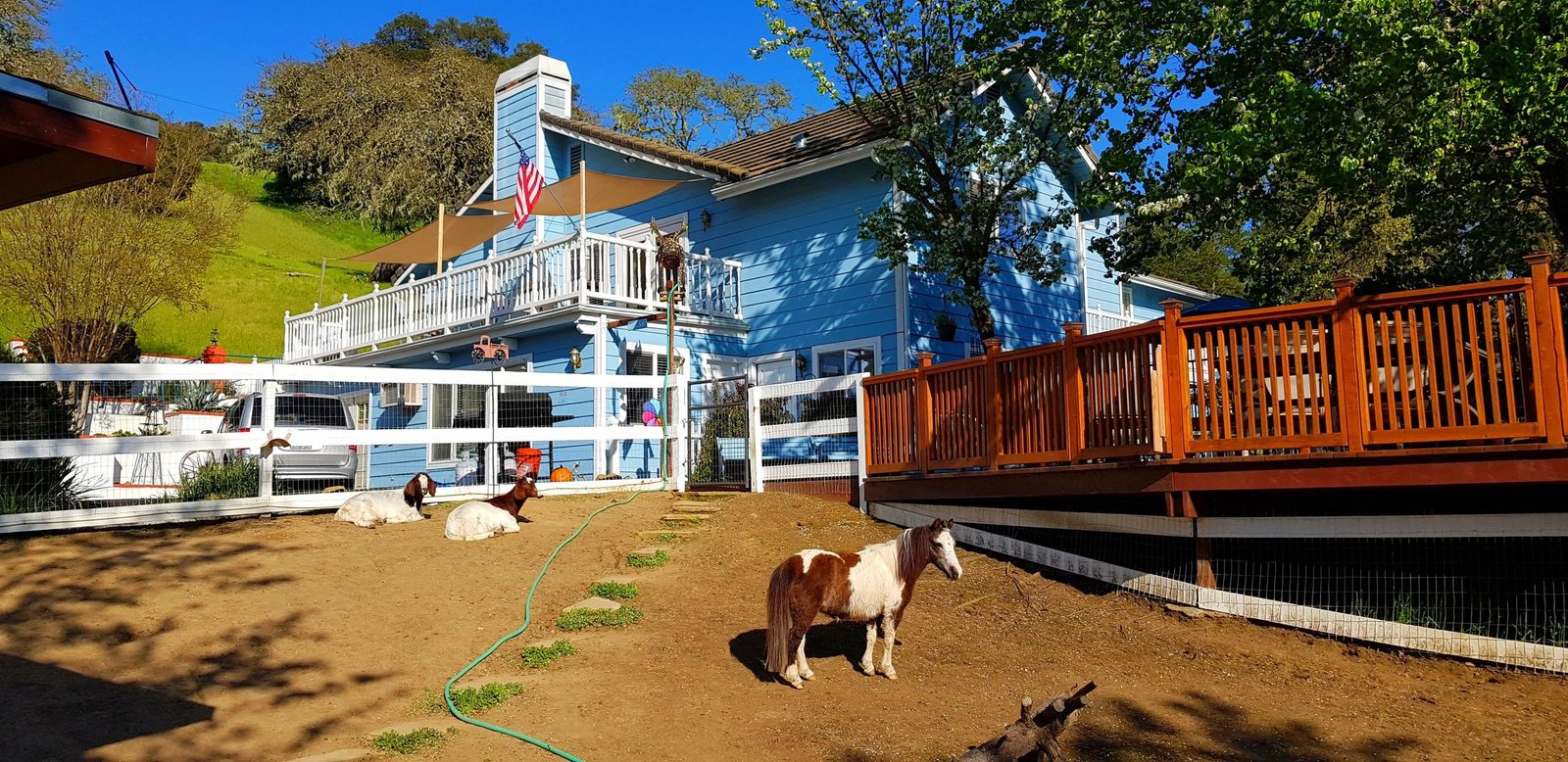 Garden View Inn