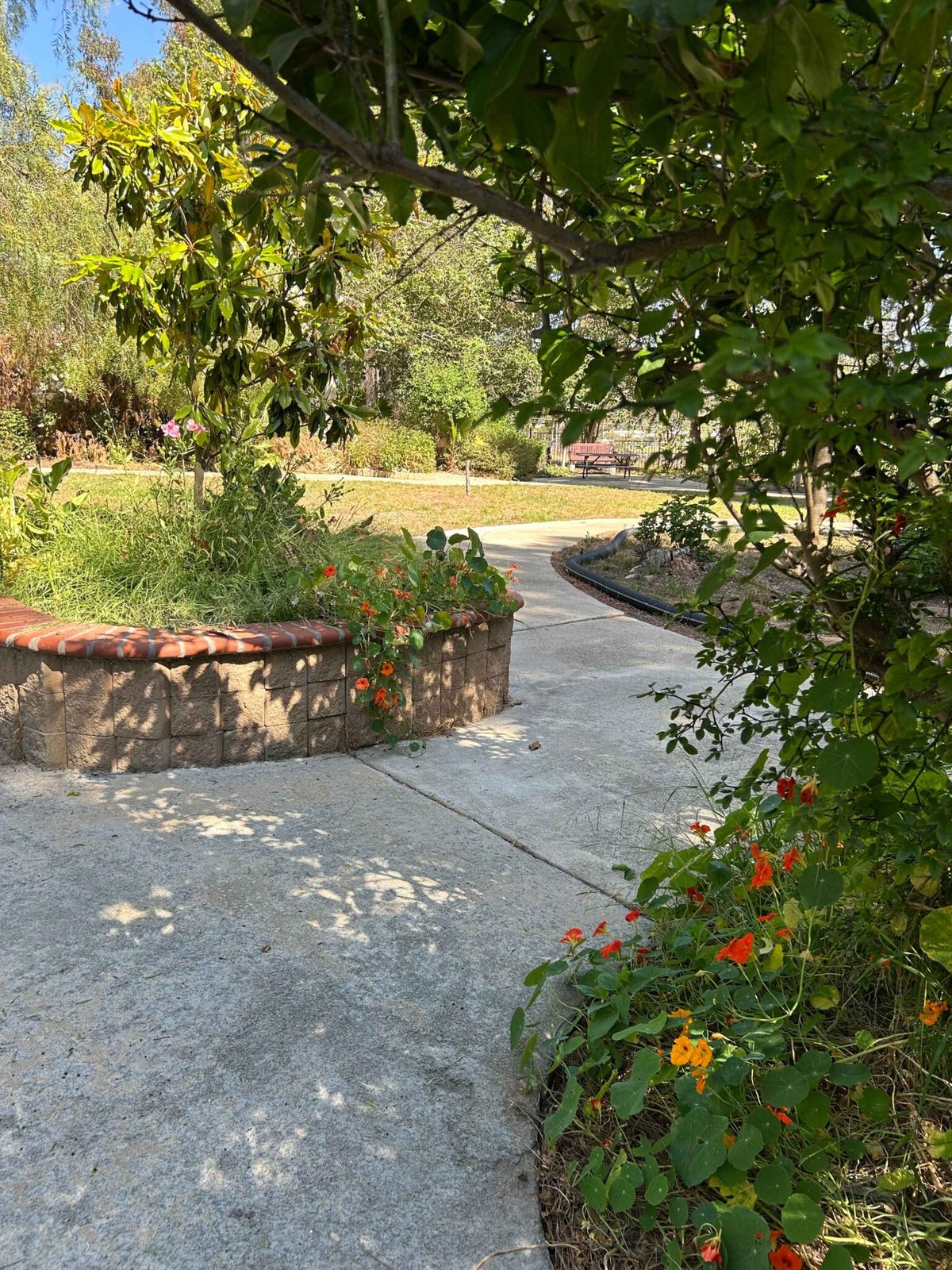 Huntington Manor photo 3