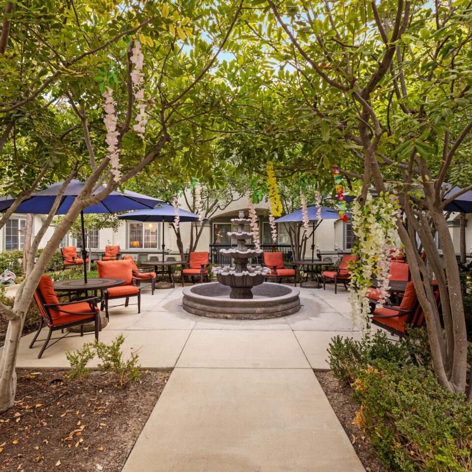 Ivy Park at Mission Viejo photo 4