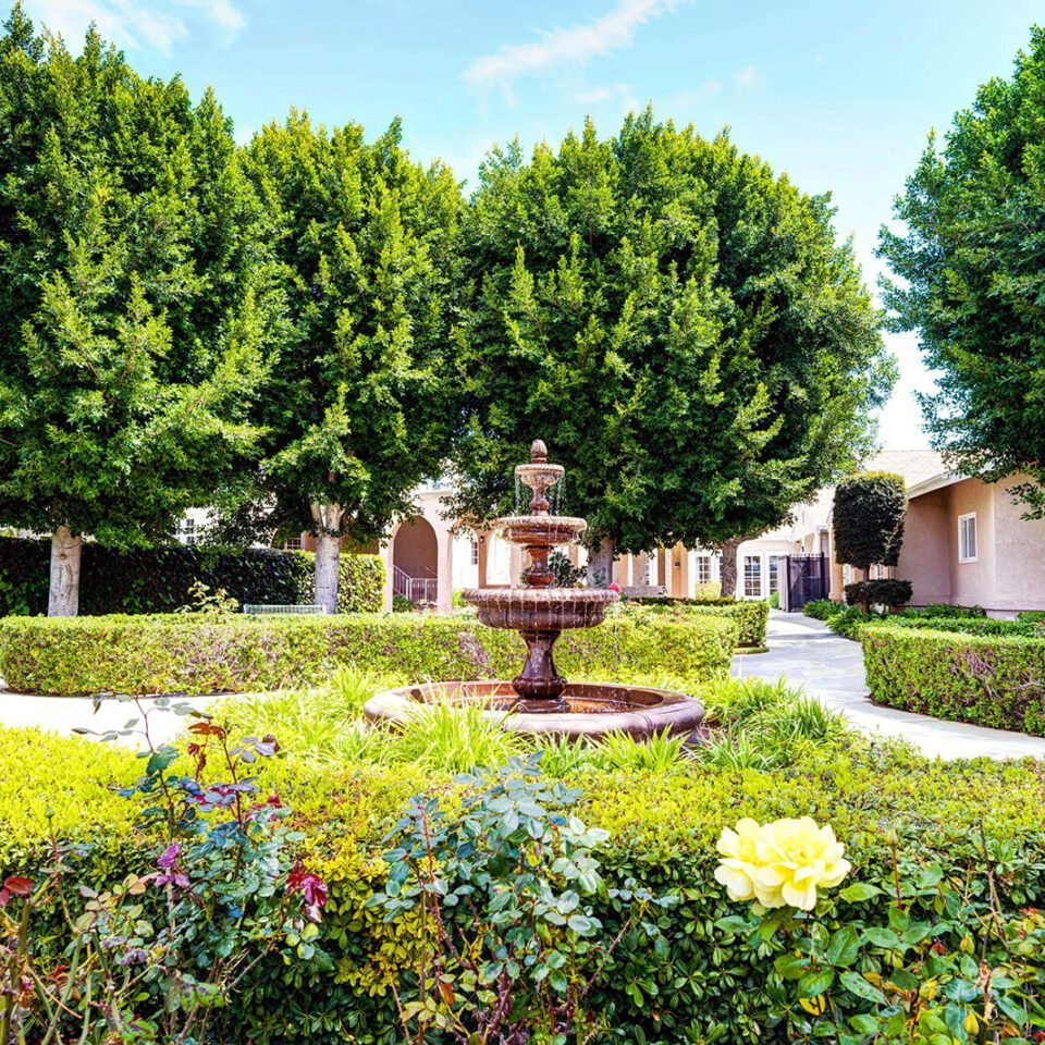 Ivy Terrace at Fullerton photo 3