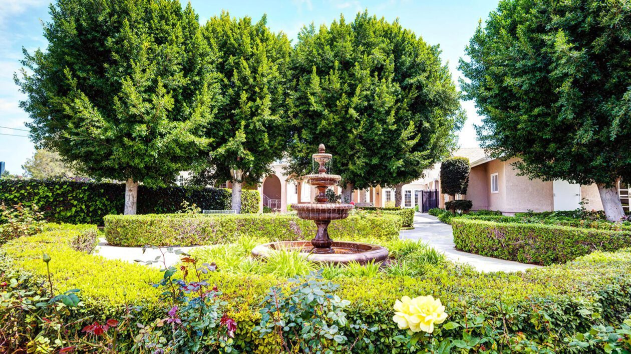 Ivy Terrace at Fullerton photo 5