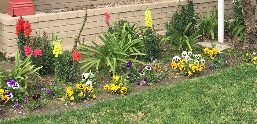Lakewood Gardens photo 1