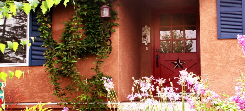Lucie's Cozy Cottage photo 1