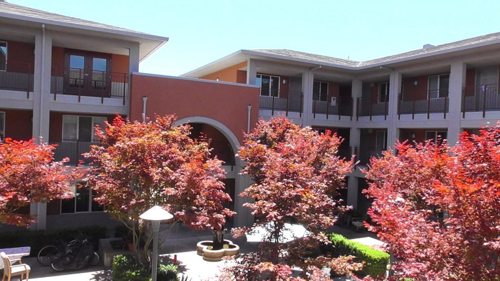 Lytton Gardens Community Care photo 3