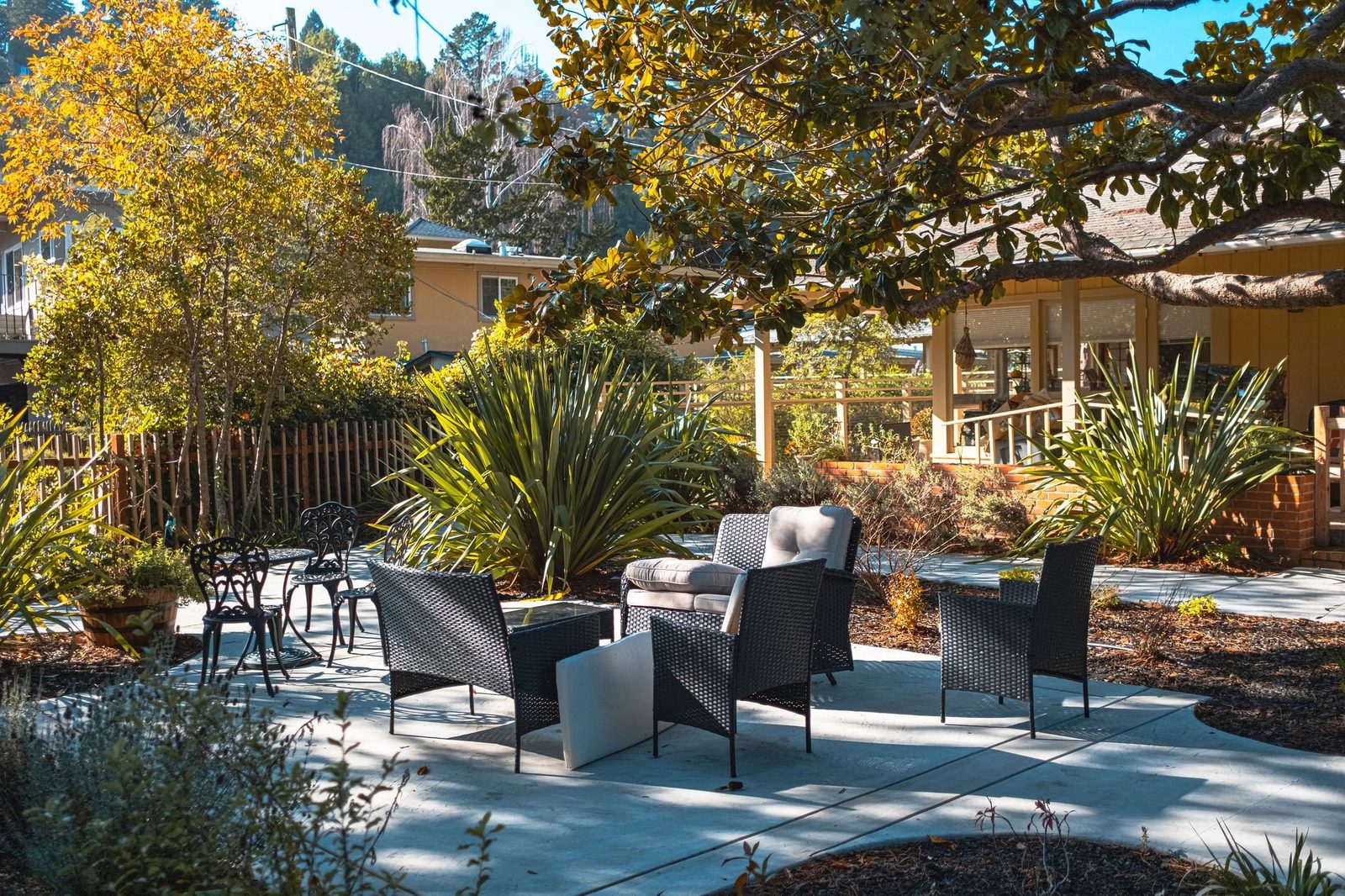 Marin Terrace photo 1